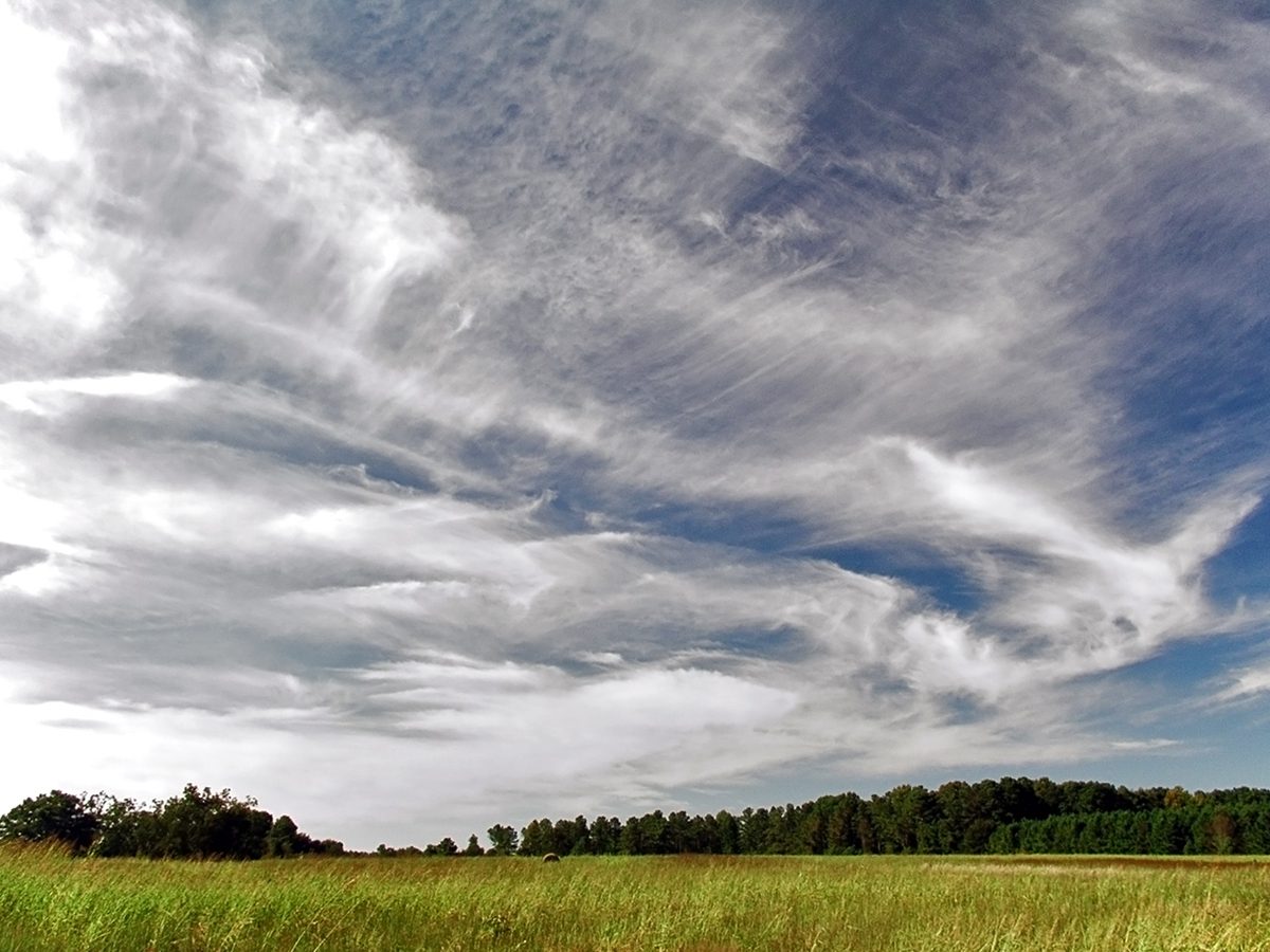 Leer el cielo de la meseta